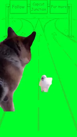 Parrot Barking