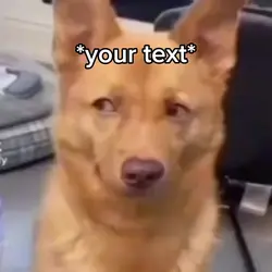 Dog meme