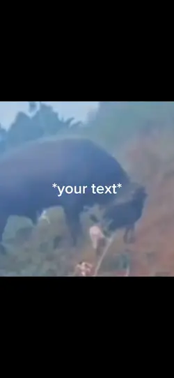 Bull