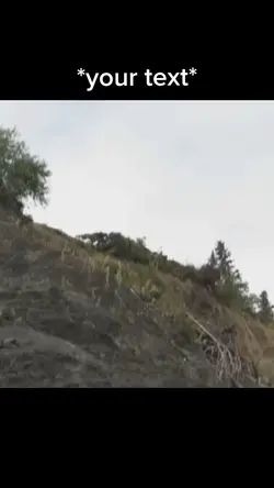 Driving off cliff 