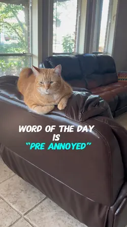 Word of the day-01