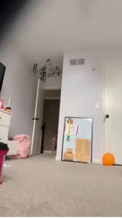 😼