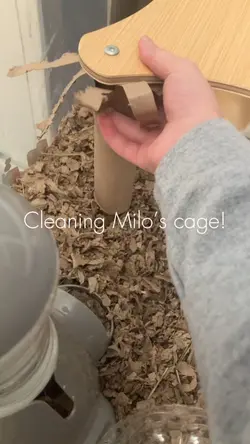 Cage clean!
