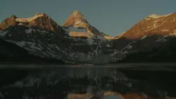 Phoenix Anthem