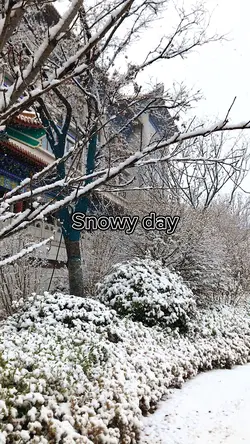 Snowy day