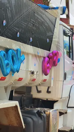 Chá revelação