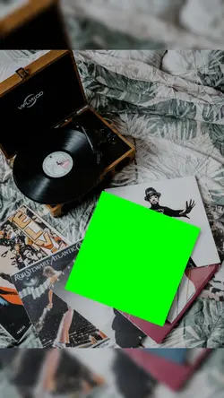 Vinyl Record