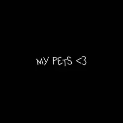 my cats 🩷