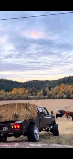 The farm