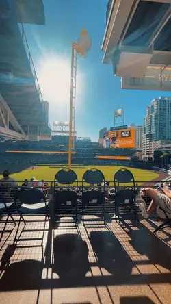 Baseball is back 