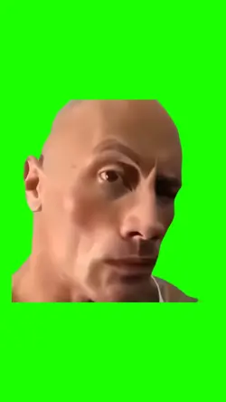 The Rock "Eybrow Rai