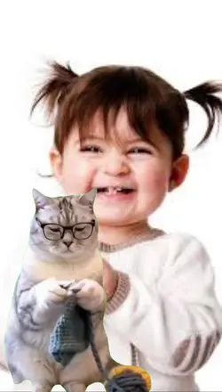 funny cat