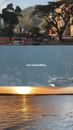 my digital diary