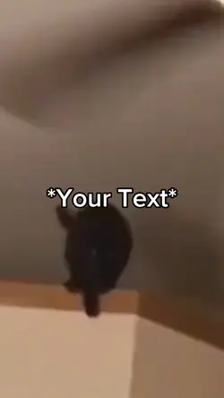 Cat fail