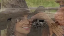 Country 