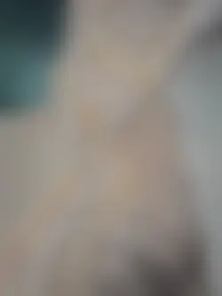 gatito