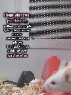 hope you think of me