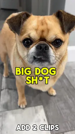 Big Dog Sh*t