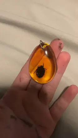 We have sm bugs 😭
