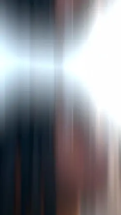 1 clip