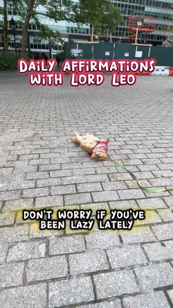 Take a lazy day