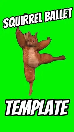 Squirrel Ballet