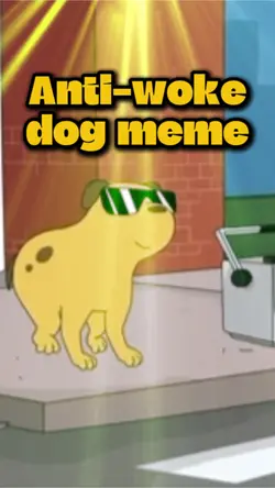 Anti-woke dog meme