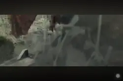 Shin Godzilla edit