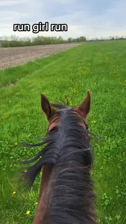 run boy run