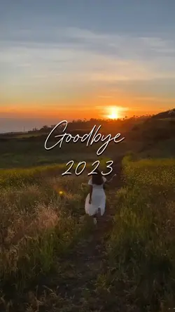 Goodbye 2023