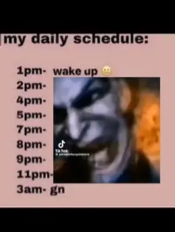 My daily schedule