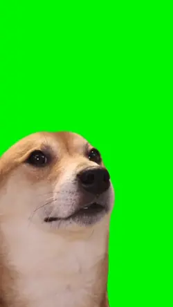 Shiba Inu Doge Meme