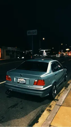 cinematic nightsho