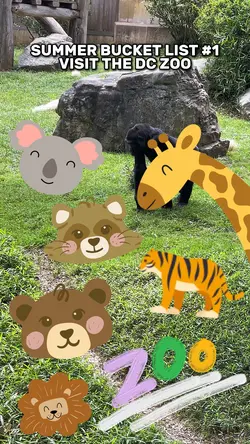 DC Zoo Trip 🔥