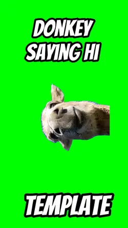 Donkey saying hi