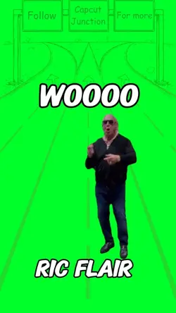 Ric Flair WOOO 