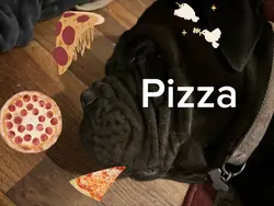 I love pizzas 
