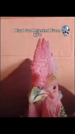 Rejected From KFC