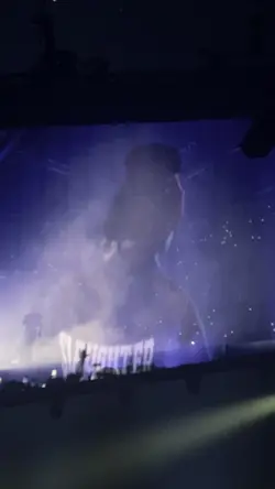 you love concerts