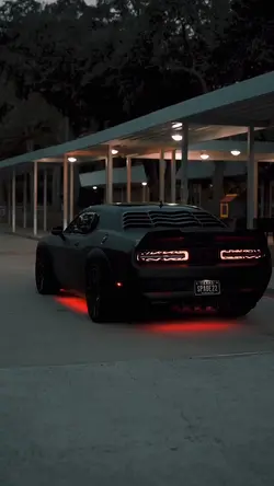 CAR — 👁️ TEMPLATE 