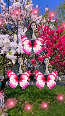 Spring flower