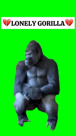 LONELY GORILLA 