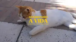 Documentando a vida