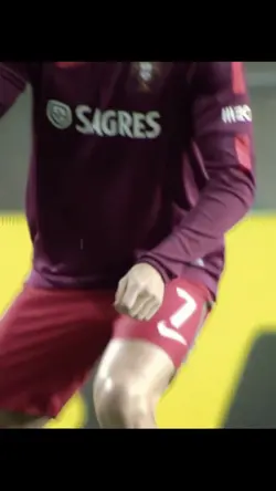 Ronaldo 2016/2017