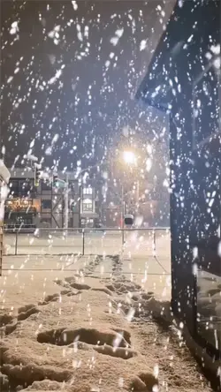 Snowy night