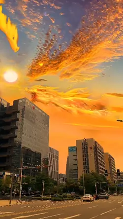 paisagens videos