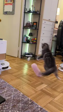 Knock Knock