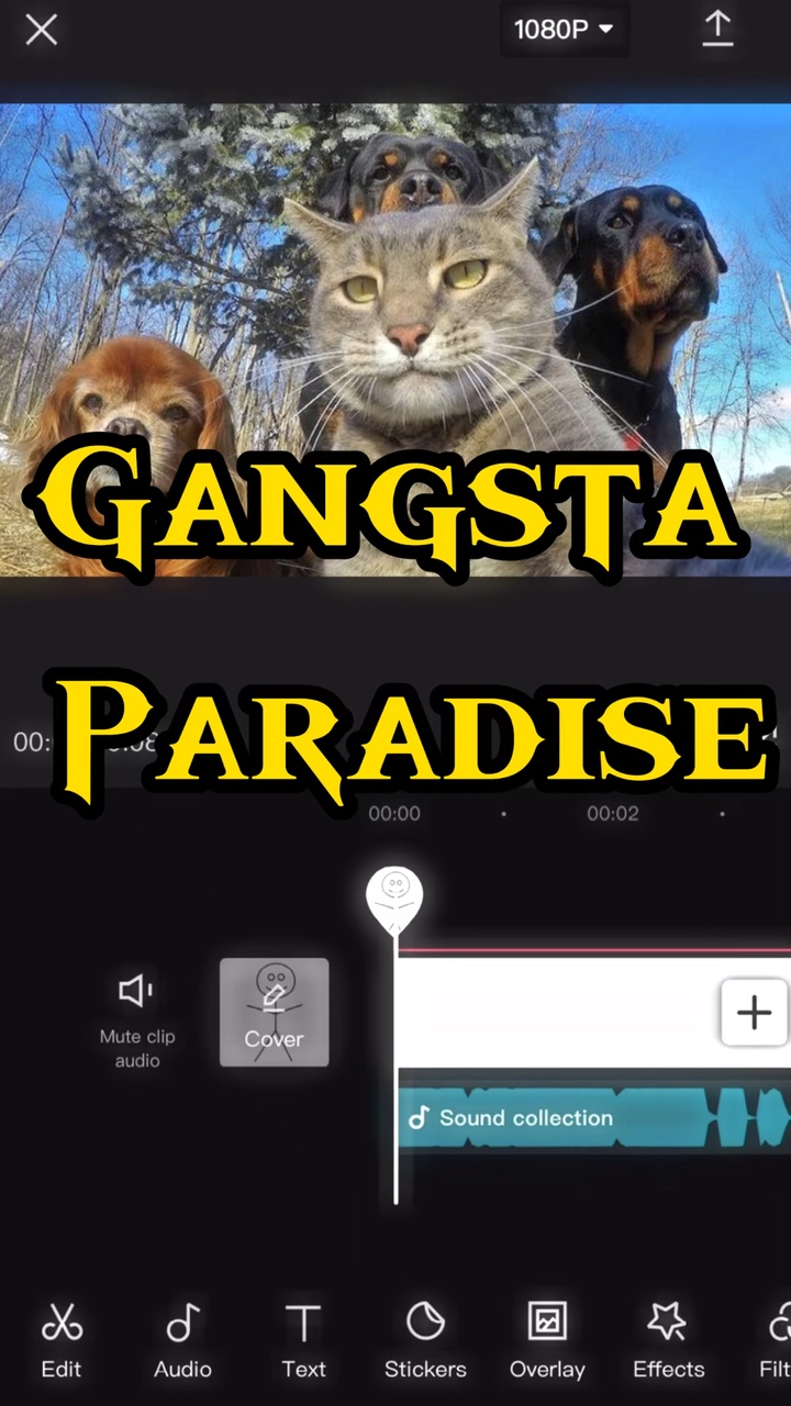 capcut template cover