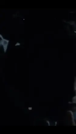 Rip X🕊️