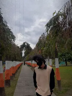 slowmo